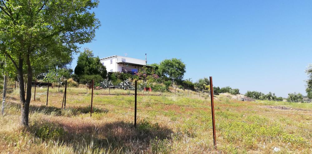  en venta finca rústica Villanueva Del Río Y Minas Vega Del Guadalquivir 38