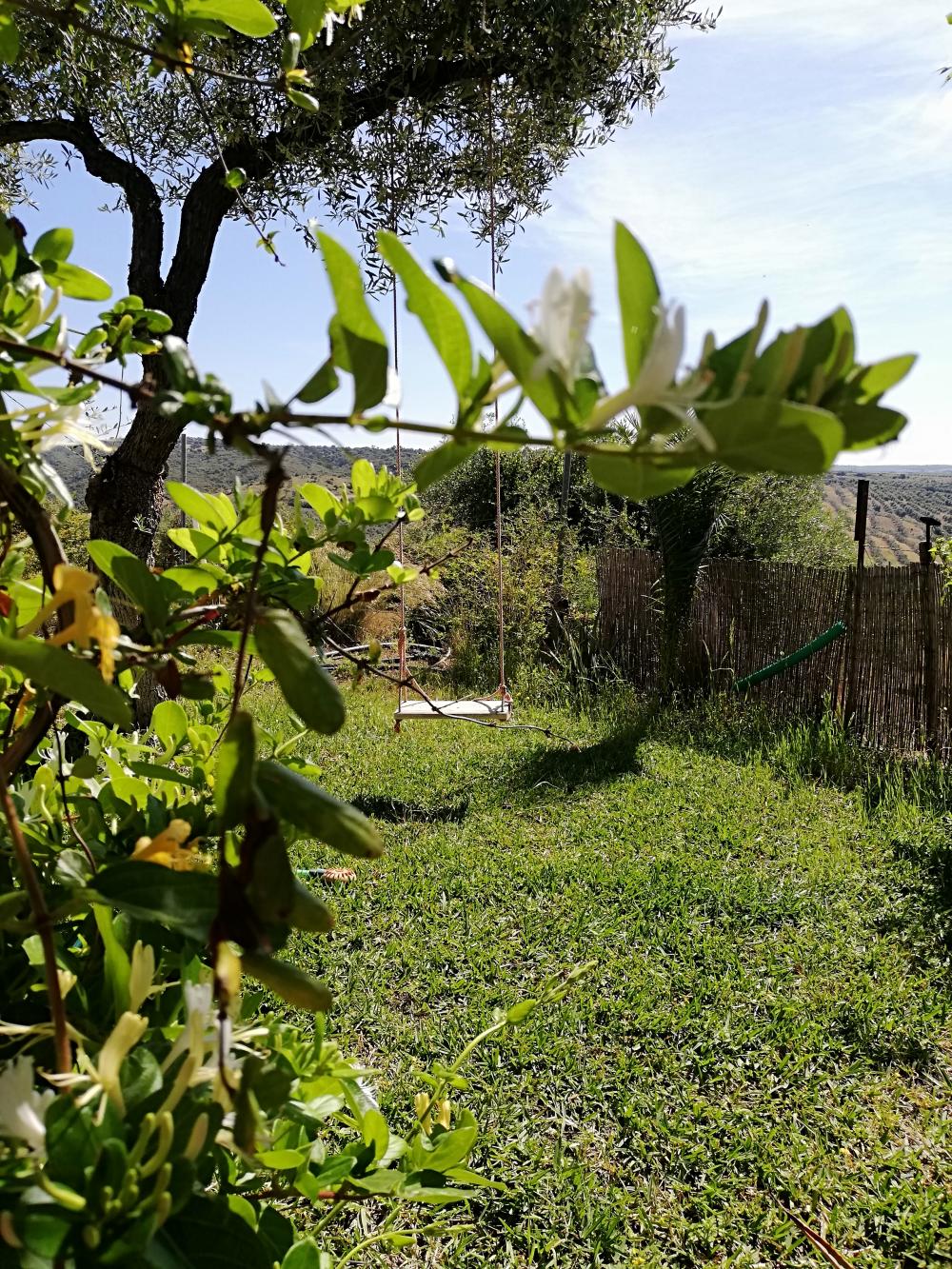  en venta finca rústica Villanueva Del Río Y Minas Vega Del Guadalquivir 15