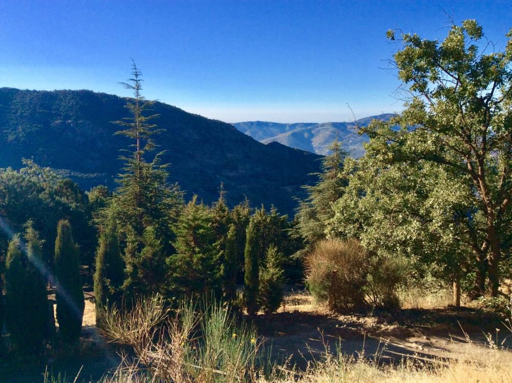  en venta finca rústica Pampaneira Alpujarra Granadina 26