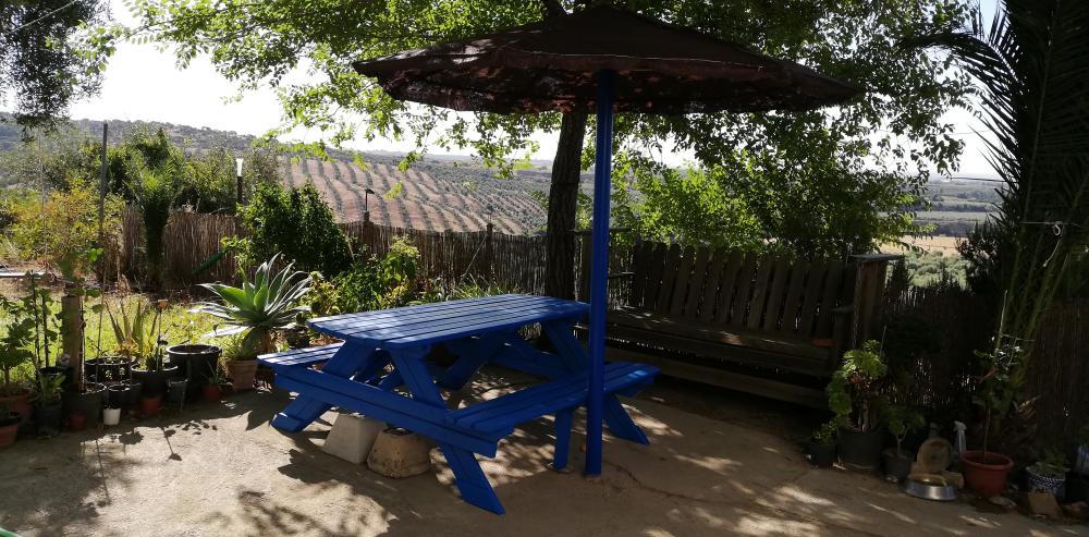  en venta finca rústica Villanueva Del Río Y Minas Vega Del Guadalquivir 29