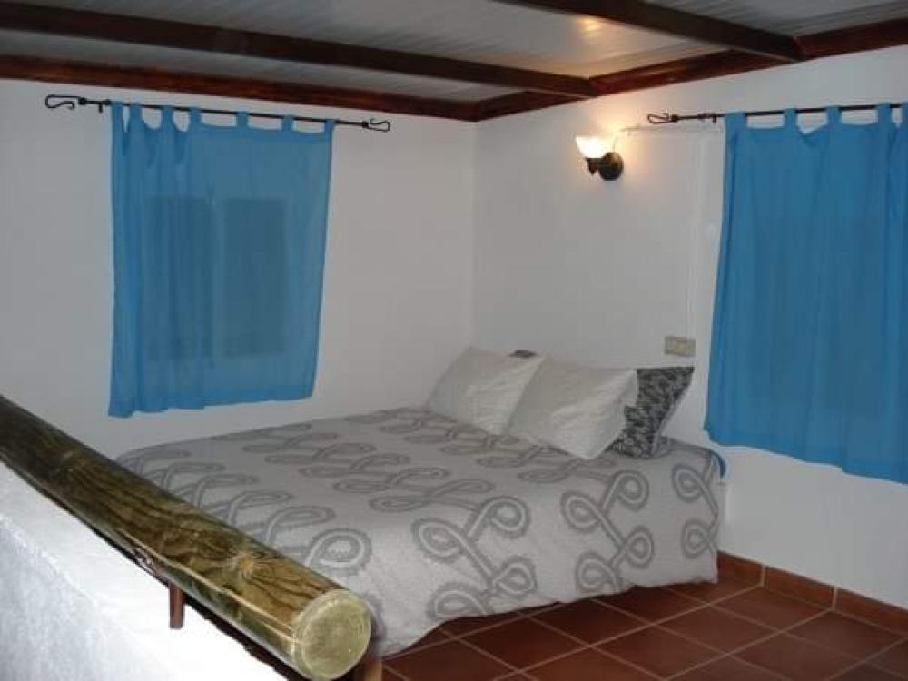  en venta finca rústica Villanueva Del Río Y Minas Vega Del Guadalquivir 8