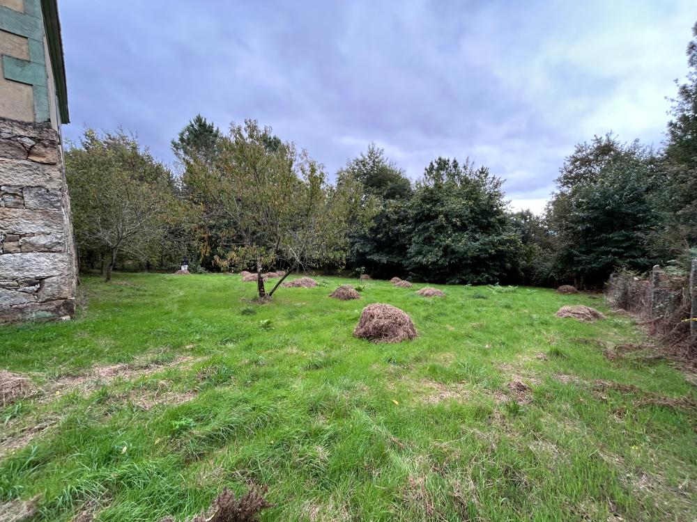  en venta casa A Teixeira Terra Da Celanova 11