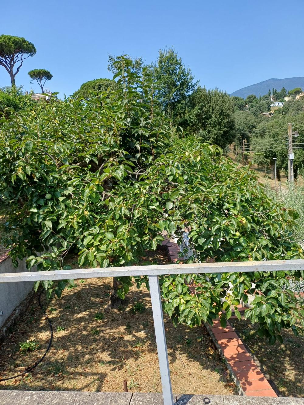 en venta casa Riells I Viabrea Selva 9