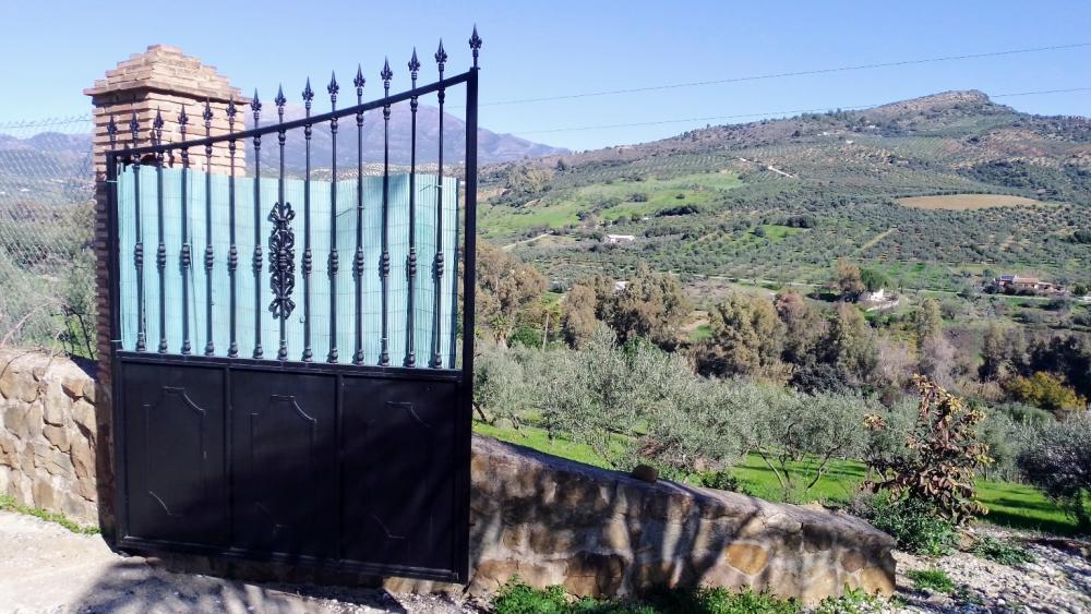  en venta finca rústica Monda Sierra De Las Nieves 34