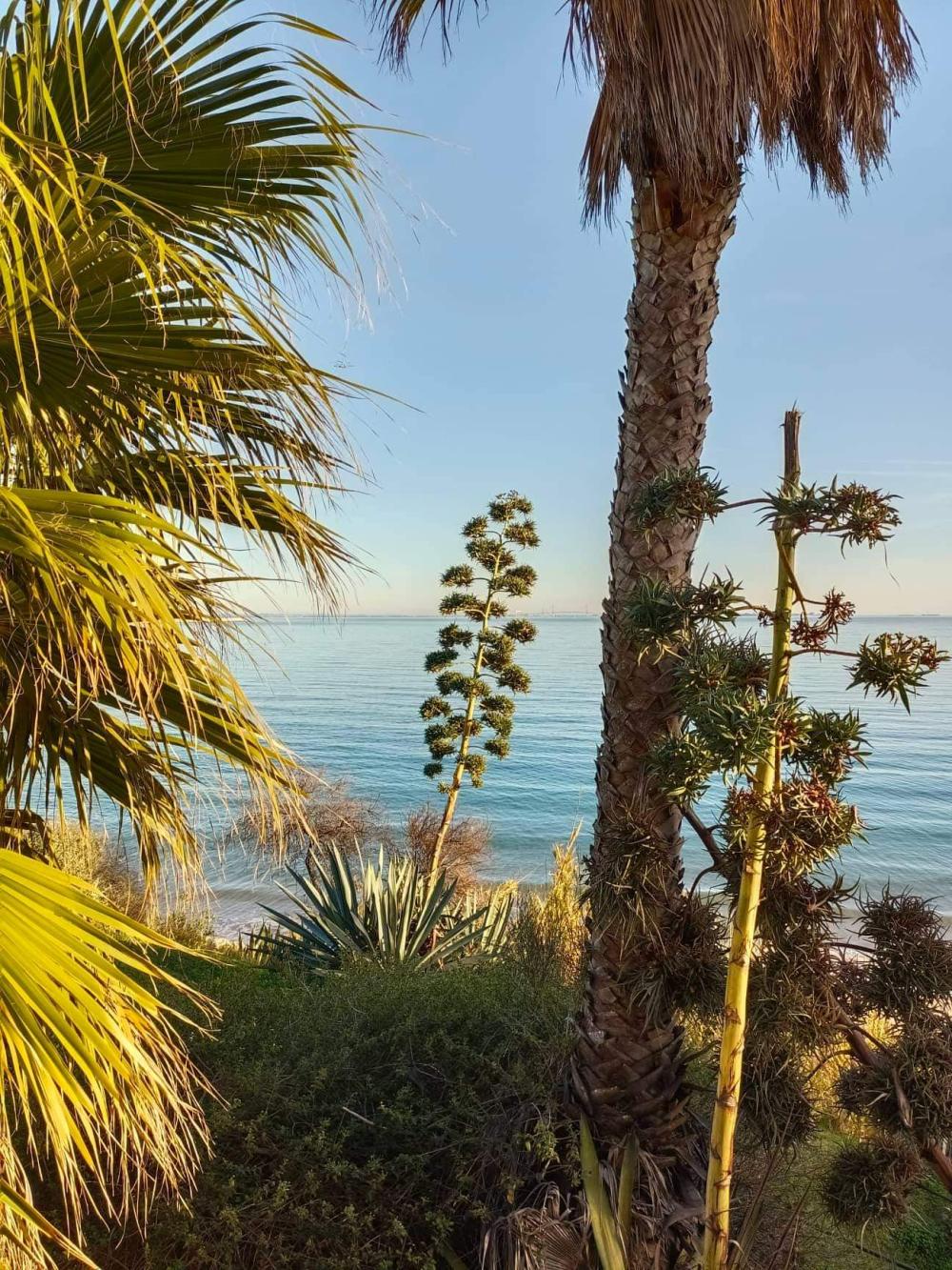  en venta apartamento Jardin De Almadrava Costa Noroeste 4