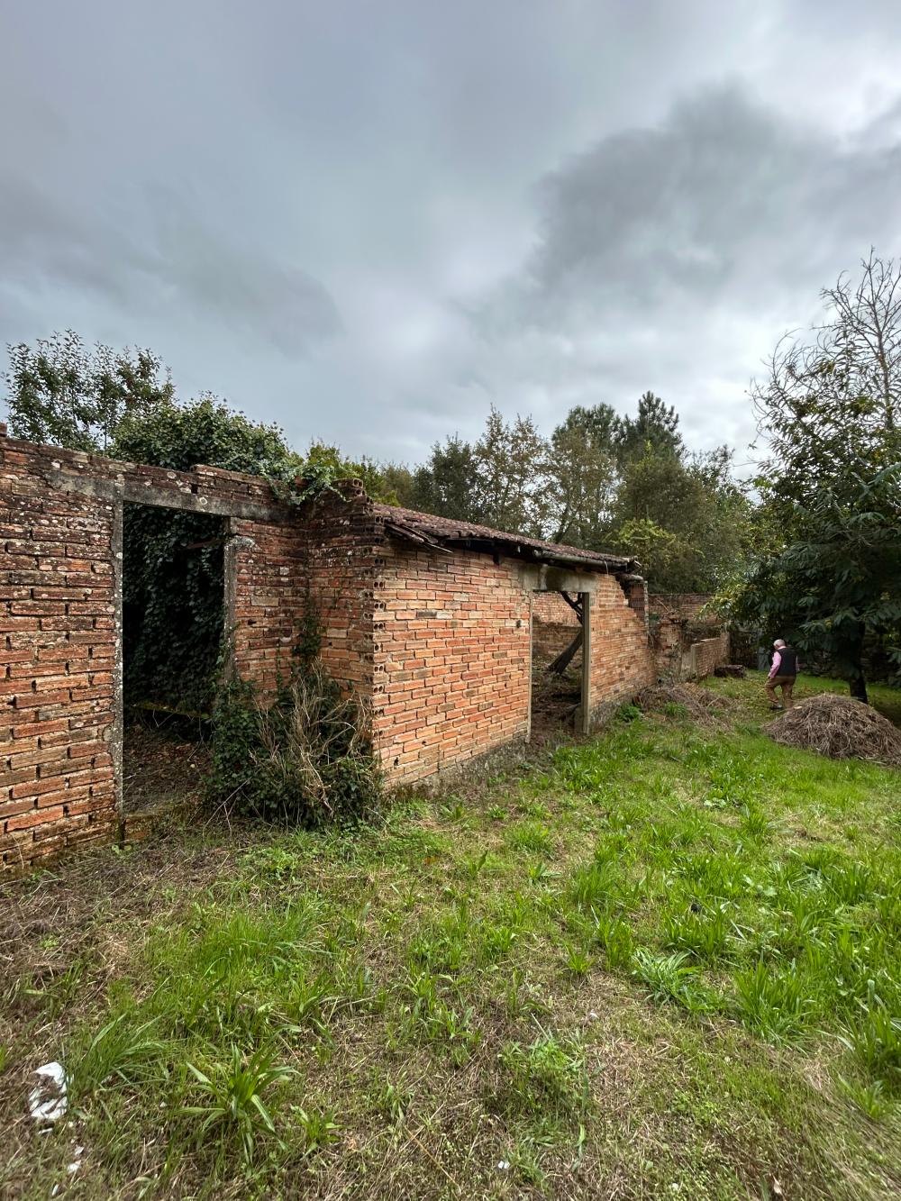  en venta casa A Teixeira Terra Da Celanova 24