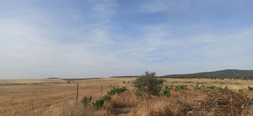  en venta finca rústica Mirandilla Merida 17