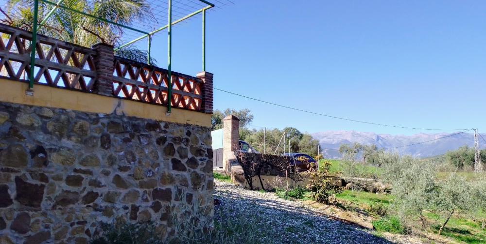  en venta finca rústica Monda Sierra De Las Nieves 49