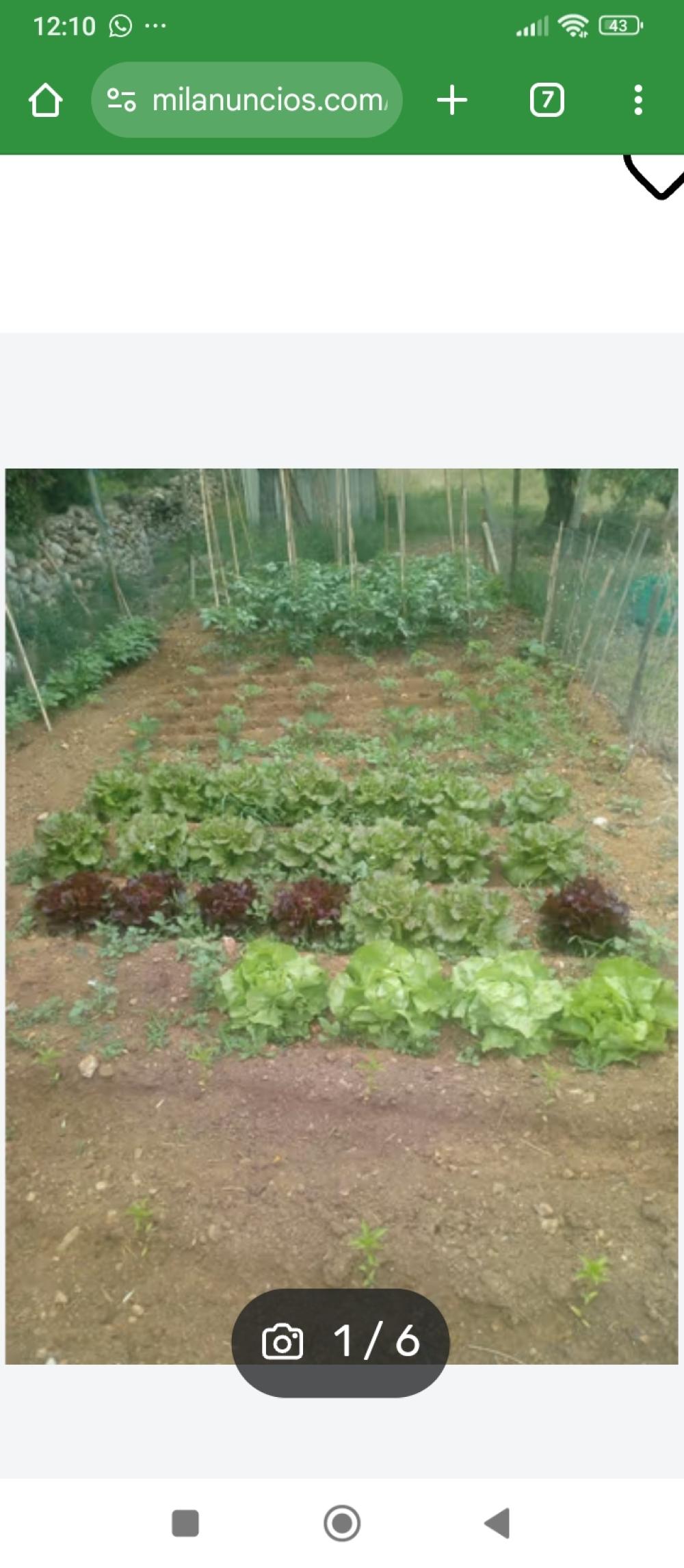 en venta finca rústica Mont-Roig Del Camp Baix Camp 4