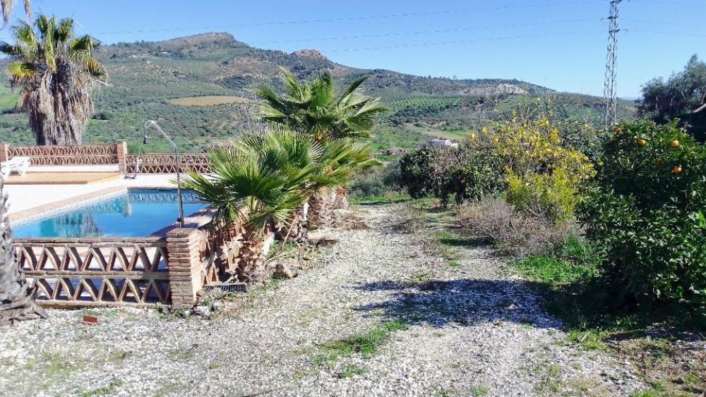  en venta finca rústica Monda Sierra De Las Nieves 12