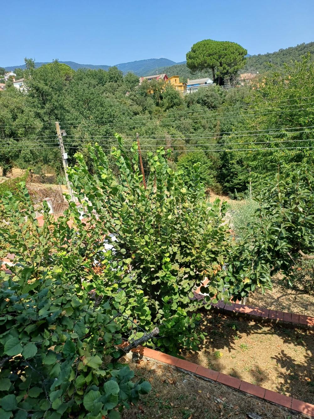  en venta casa Riells I Viabrea Selva 11