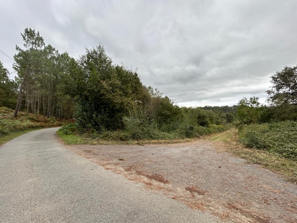  en venta casa A Teixeira Terra Da Celanova 3