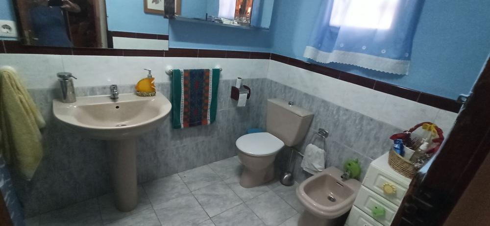  en venta finca rústica Mirandilla Merida 9