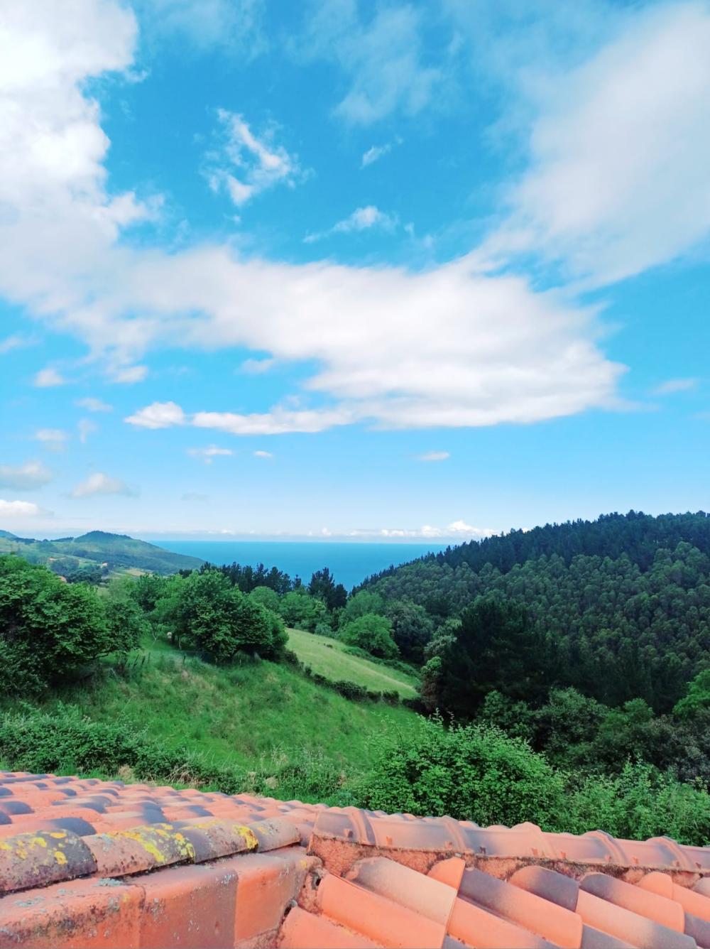  en venta chalet Asterrika Lea-Artibai 1