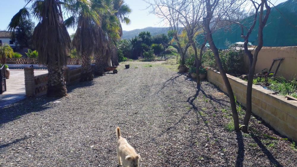  en venta finca rústica Monda Sierra De Las Nieves 10