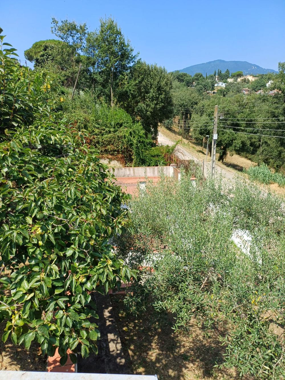  en venta casa Riells I Viabrea Selva 10