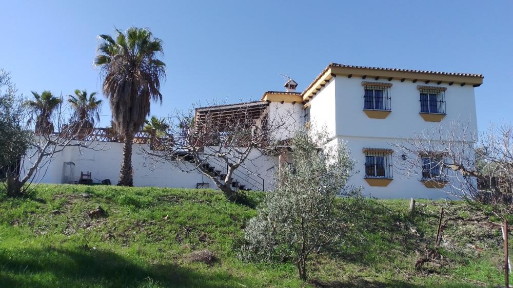  en venta finca rústica Monda Sierra De Las Nieves 30