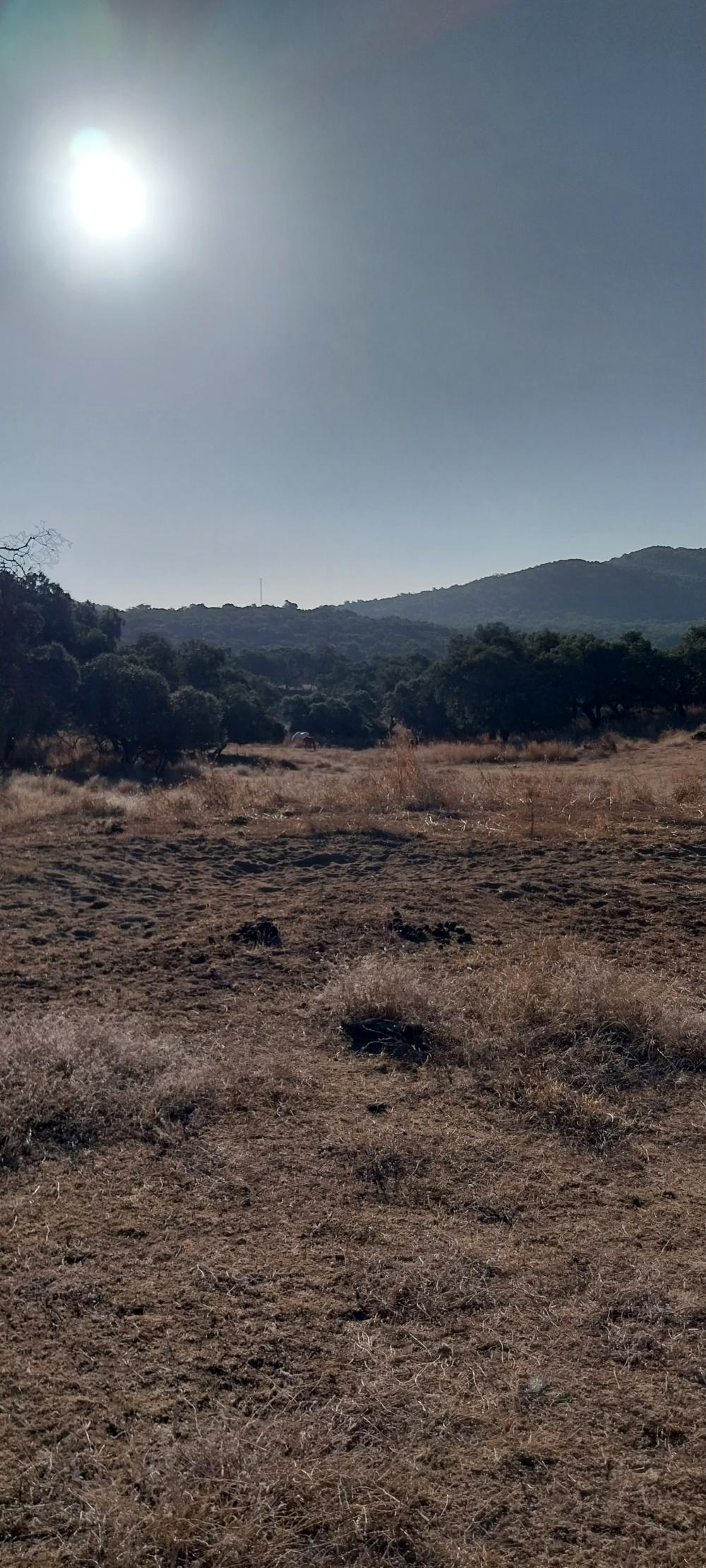  en venta finca rústica Valdezufre Sierra De Huelva 4