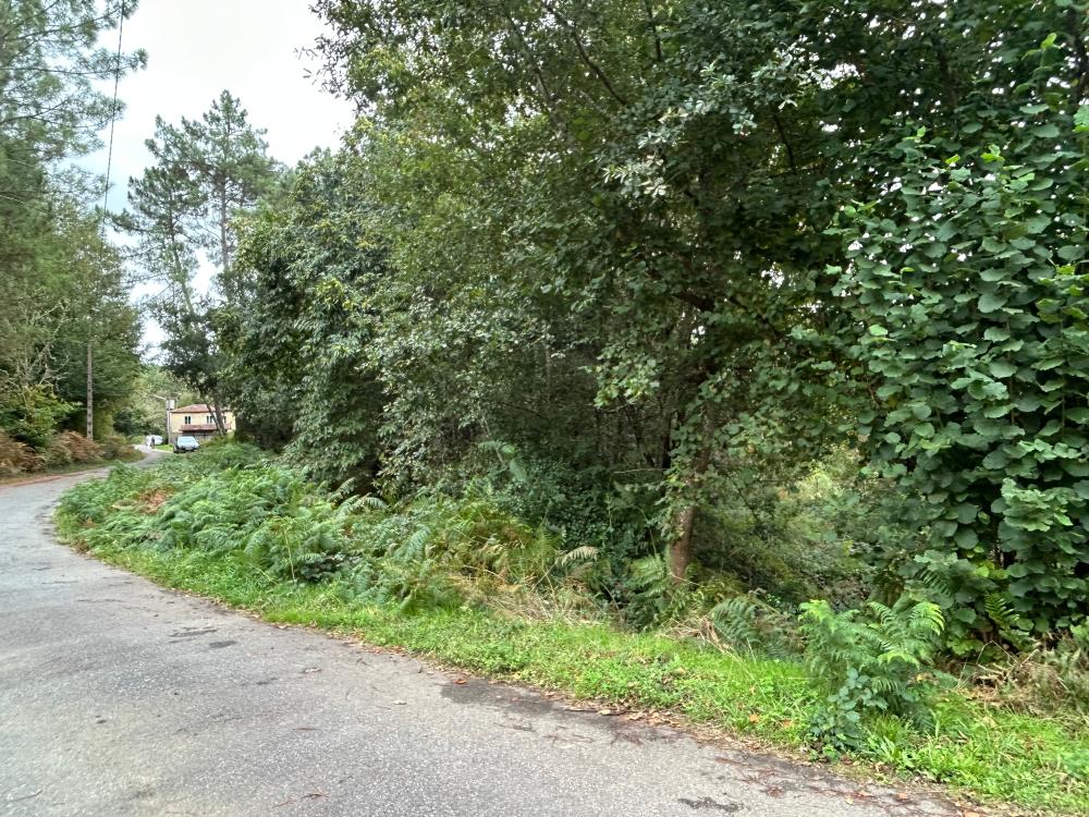  en venta casa A Teixeira Terra Da Celanova 5
