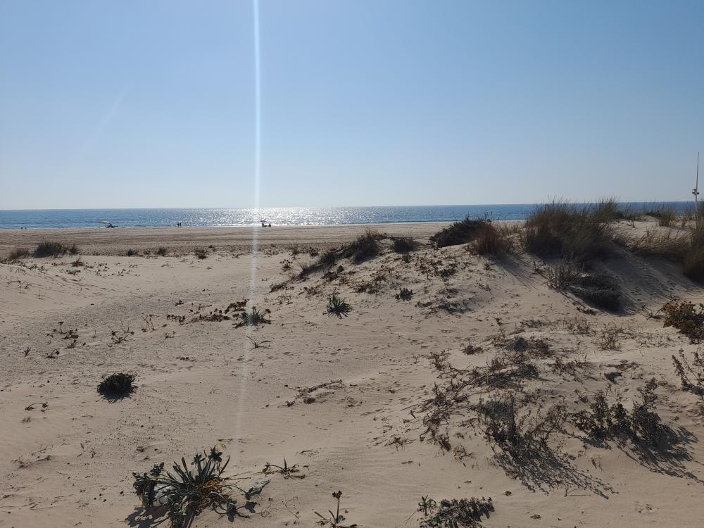  en venta dúplex Costa Ballena Costa Noroeste 24
