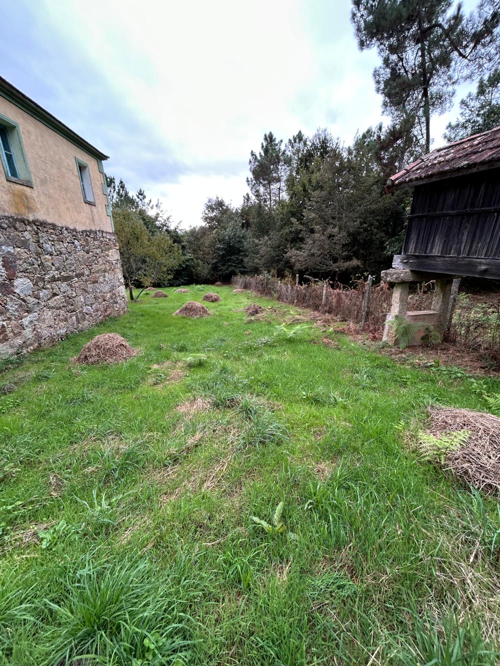  en venta casa A Teixeira Terra Da Celanova 9
