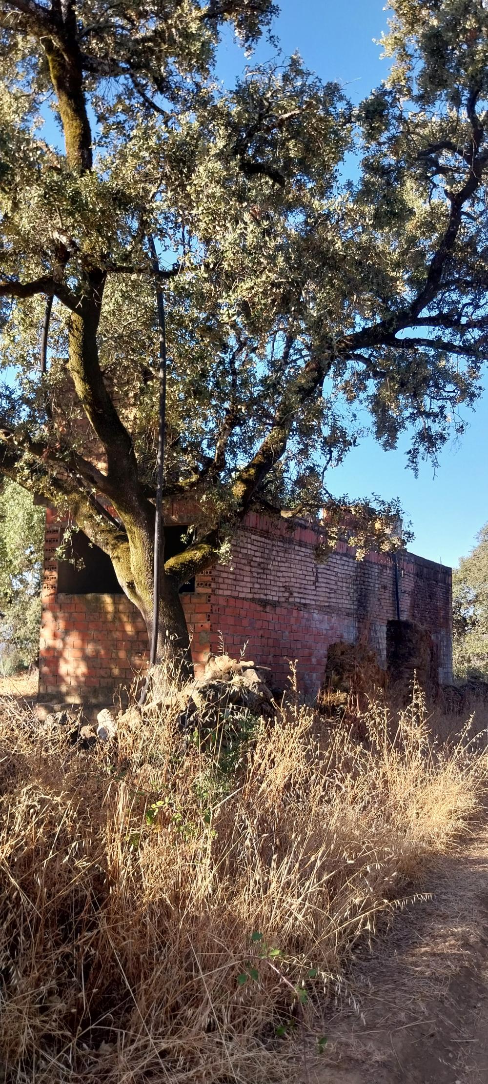  en venta finca rústica Valdezufre Sierra De Huelva 6