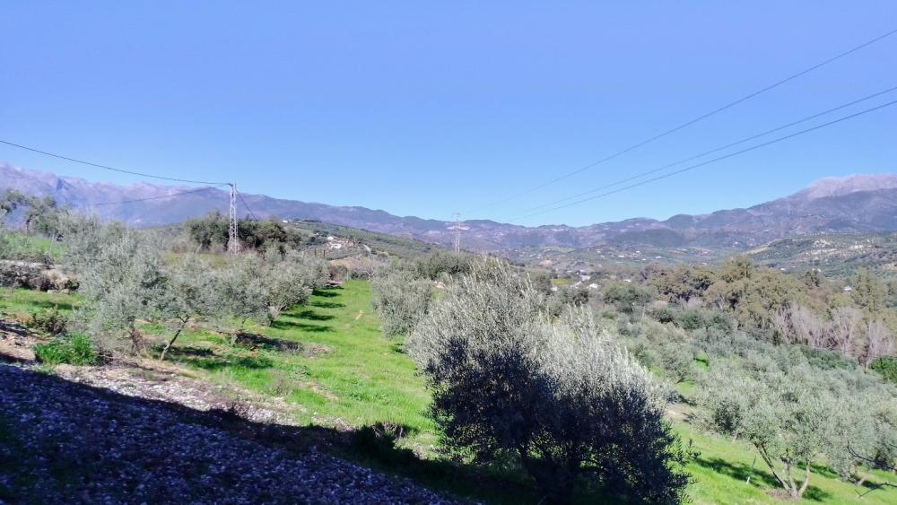  en venta finca rústica Monda Sierra De Las Nieves 24