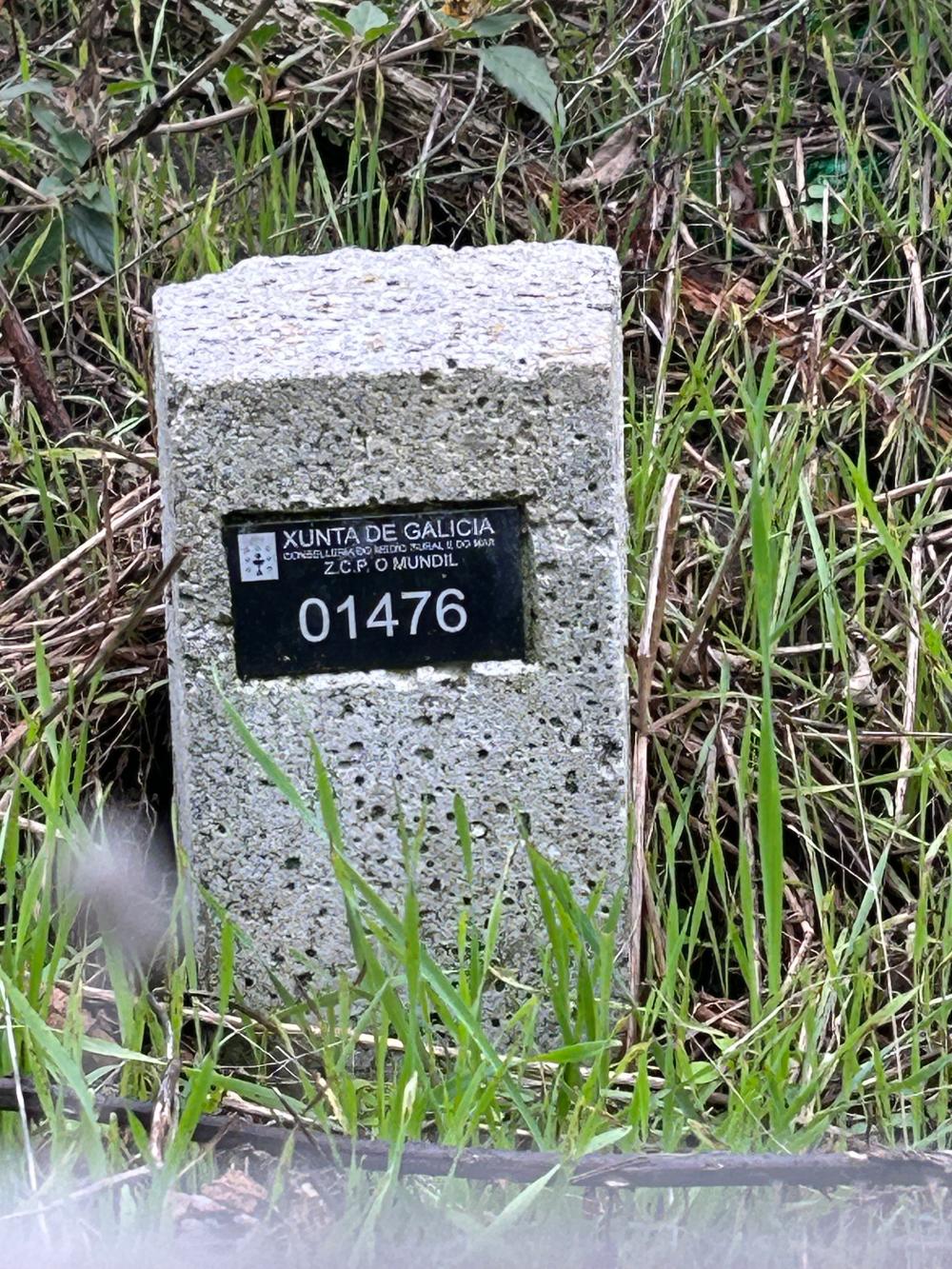  en venta casa A Teixeira Terra Da Celanova 2