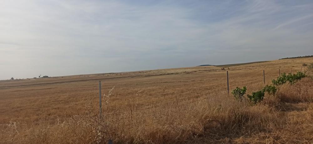  en venta finca rústica Mirandilla Merida 16
