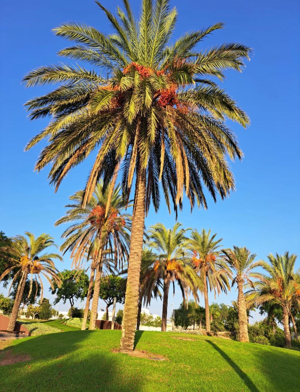  en venta chalet Retamar Comarca Metropolitana De Almería 31