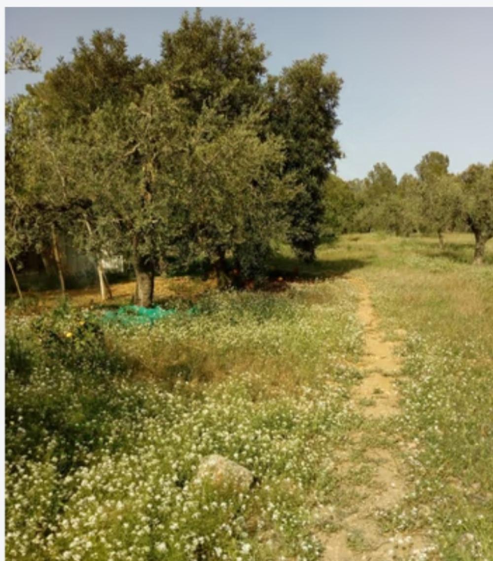 en venta finca rústica Mont-Roig Del Camp Baix Camp 2