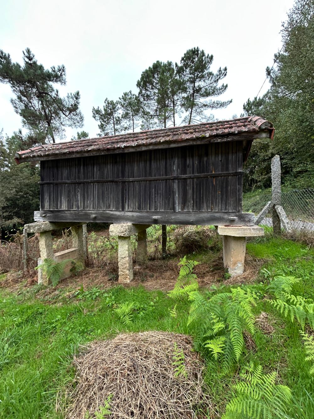  en venta casa A Teixeira Terra Da Celanova 8