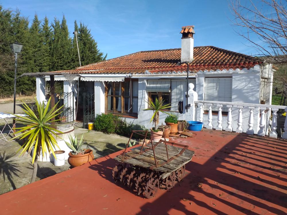  en venta finca rústica Arriate Serranía De Ronda 1