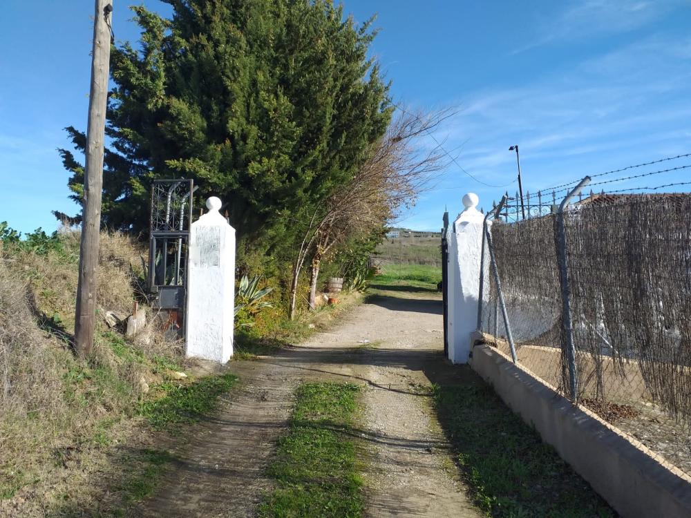 en venta finca rústica Arriate Serranía De Ronda 3