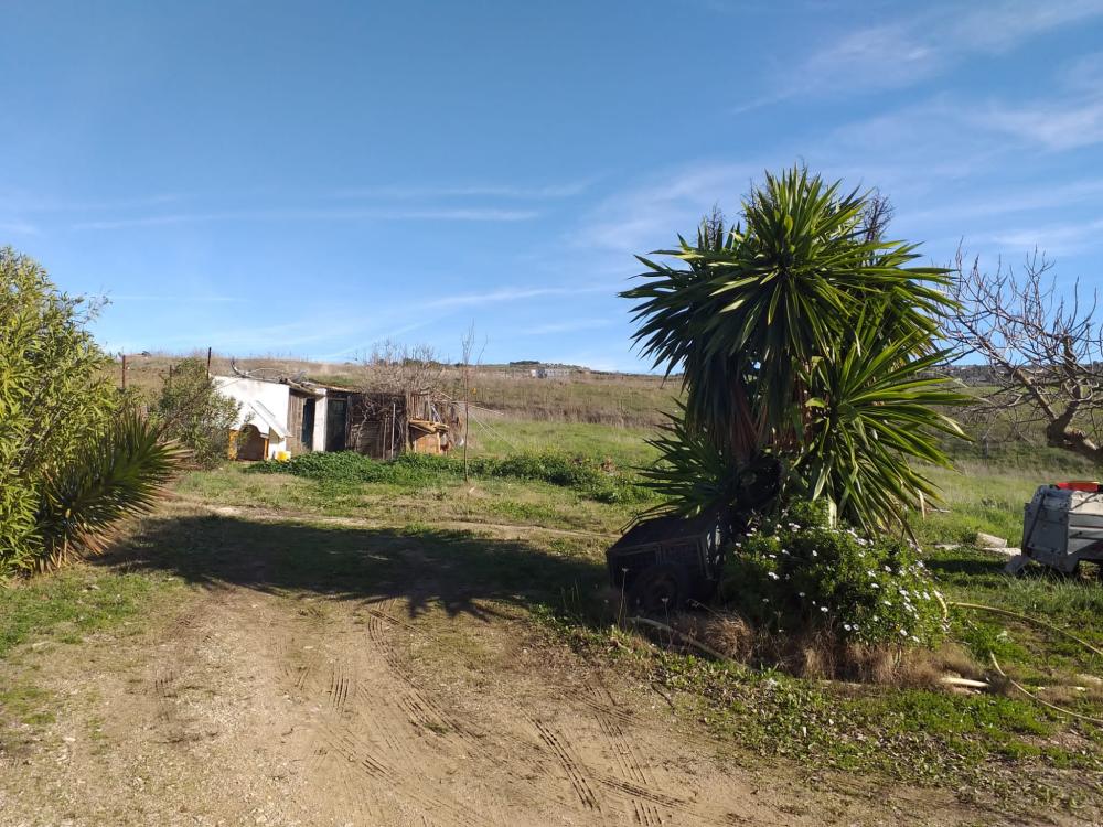  en venta finca rústica Arriate Serranía De Ronda 8