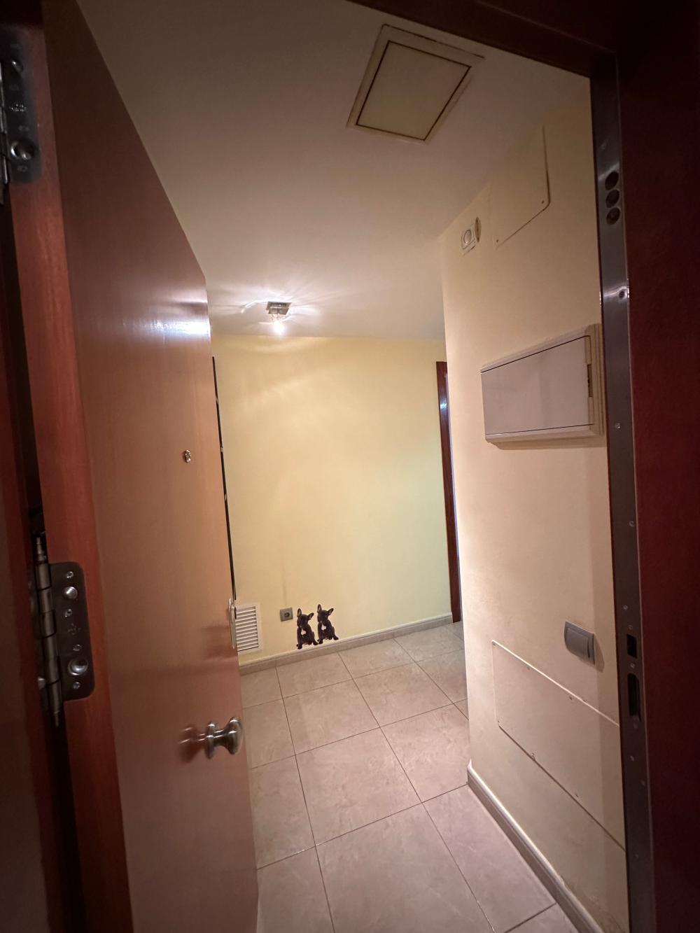  en venta apartamento Deltebre Baix Ebre 5