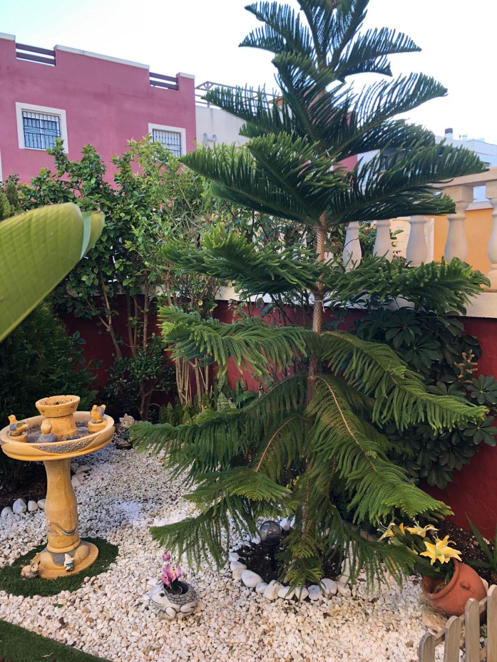  en venta planta baja Orihuela Costa Baix Segura 10