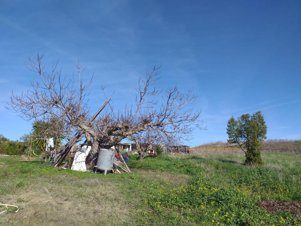  en venta finca rústica Arriate Serranía De Ronda 11