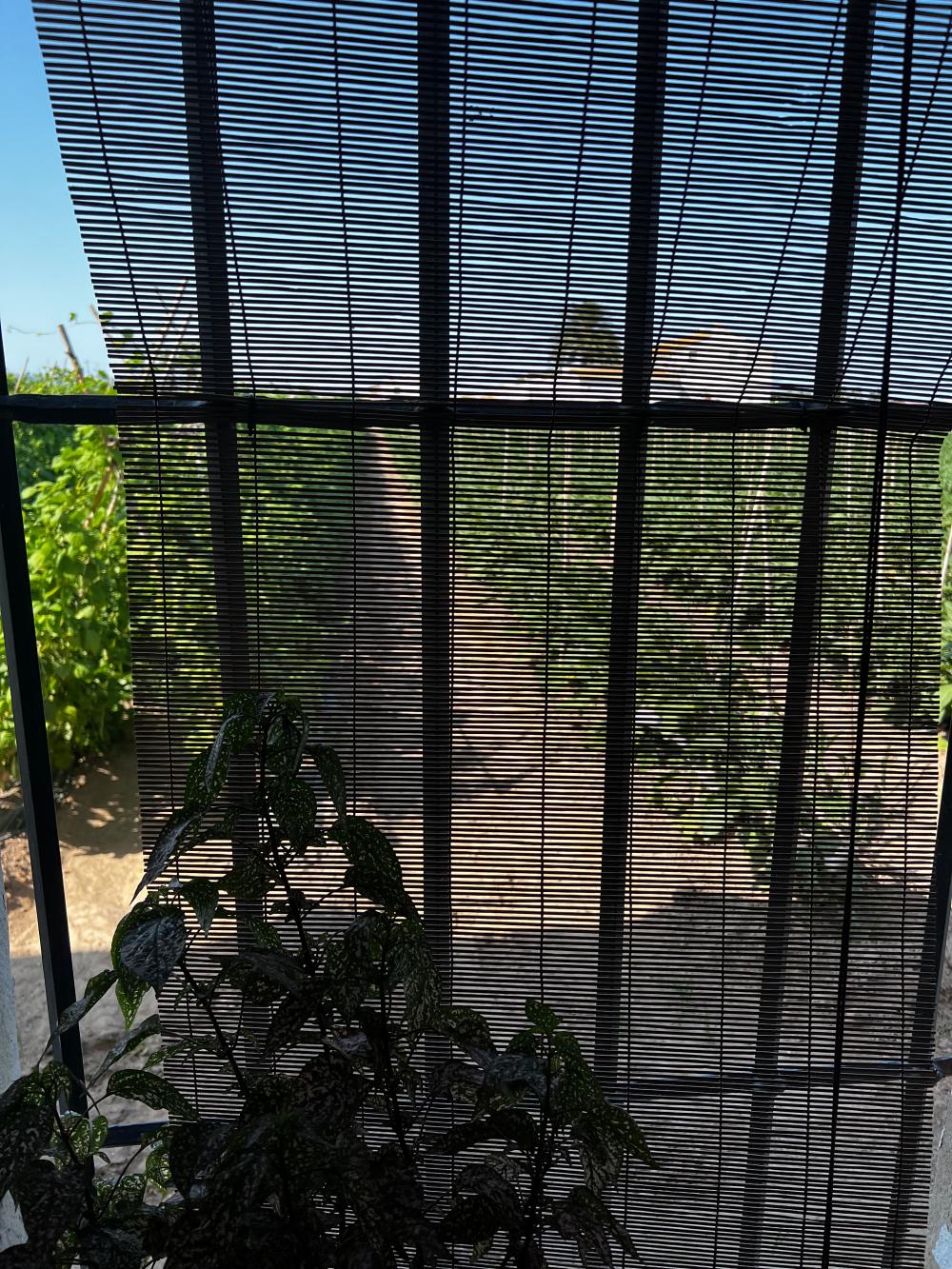  en venta finca rústica Barrio Roca Horta Nord 17