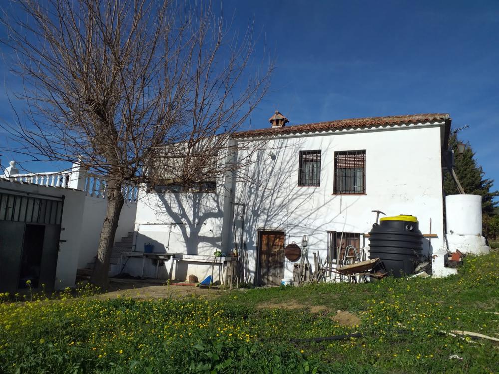  en venta finca rústica Arriate Serranía De Ronda 4
