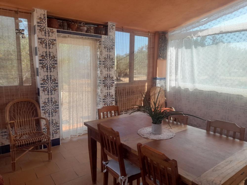  en venta finca rústica L'ampolla Baix Ebre 7