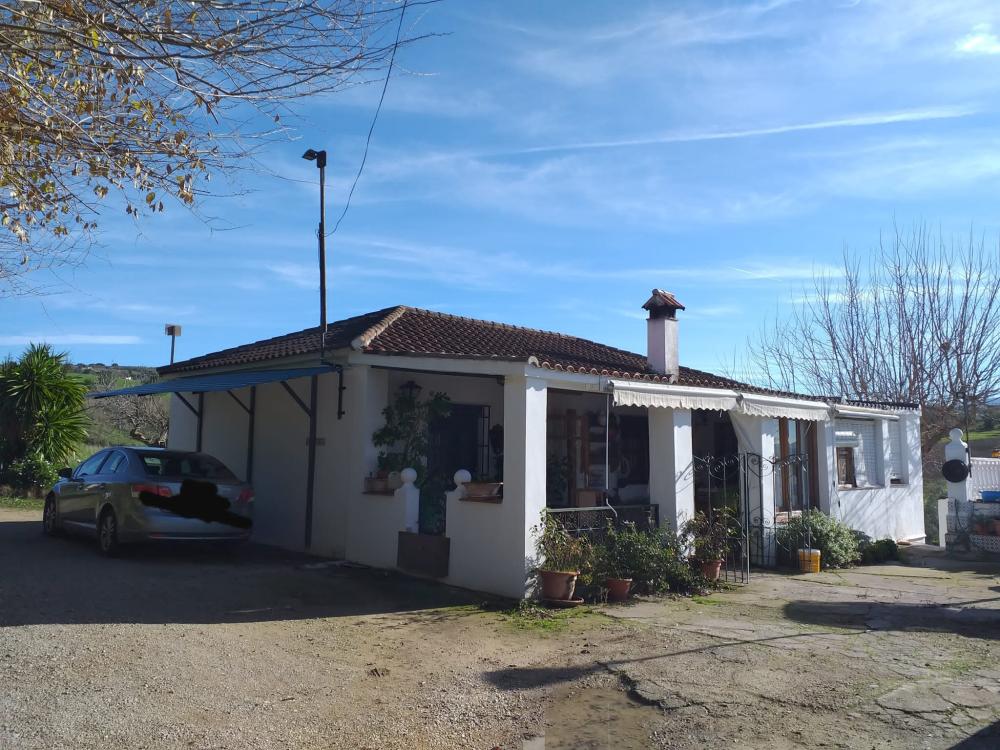  en venta finca rústica Arriate Serranía De Ronda 2
