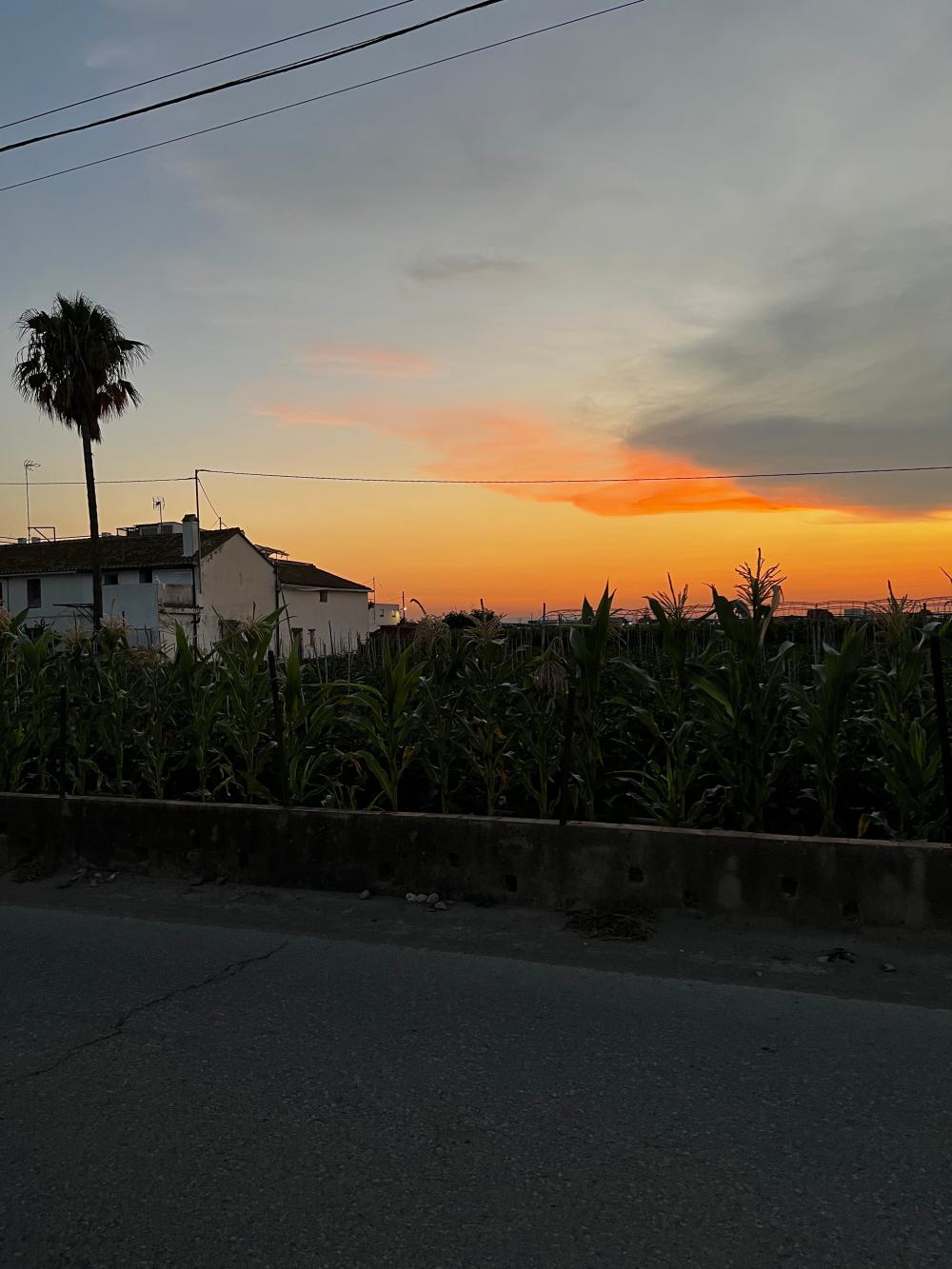  en venta finca rústica Barrio Roca Horta Nord 8