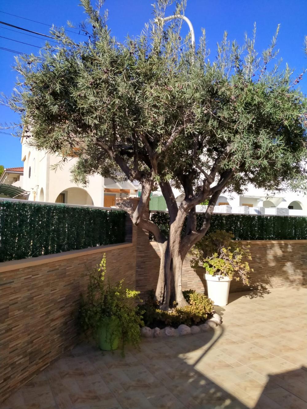  en venta casa de pueblo Santiago De La Ribera Mar Menor 10