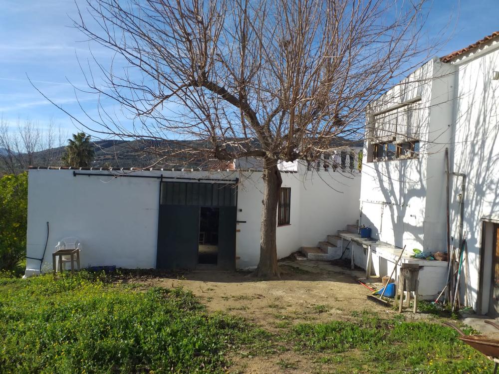  en venta finca rústica Arriate Serranía De Ronda 5