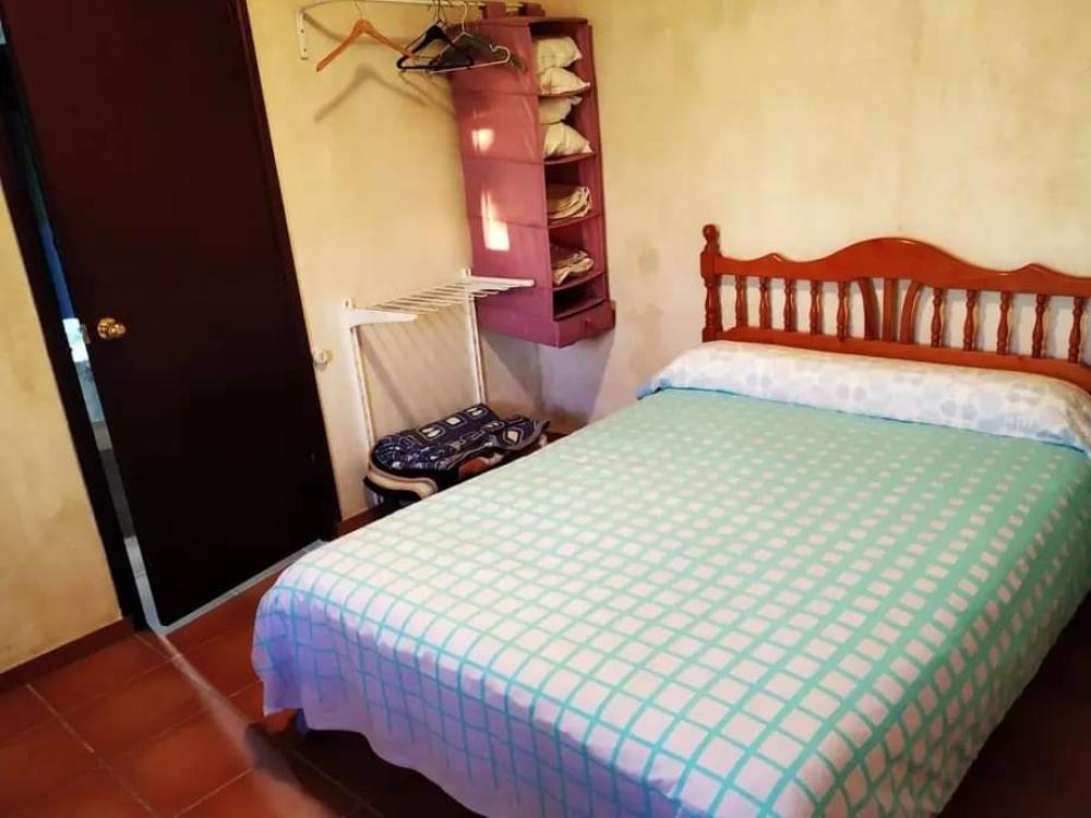  en venta finca rústica El Bosque Sierra De Cádiz 11