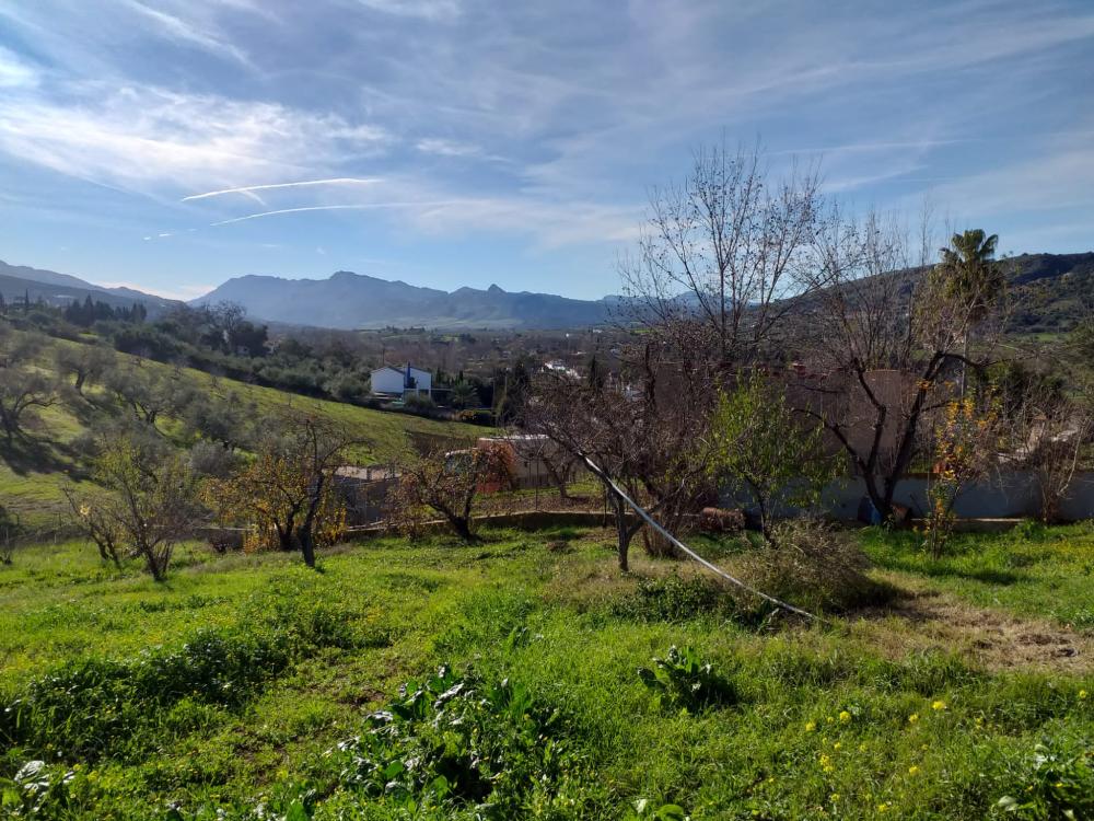  en venta finca rústica Arriate Serranía De Ronda 6