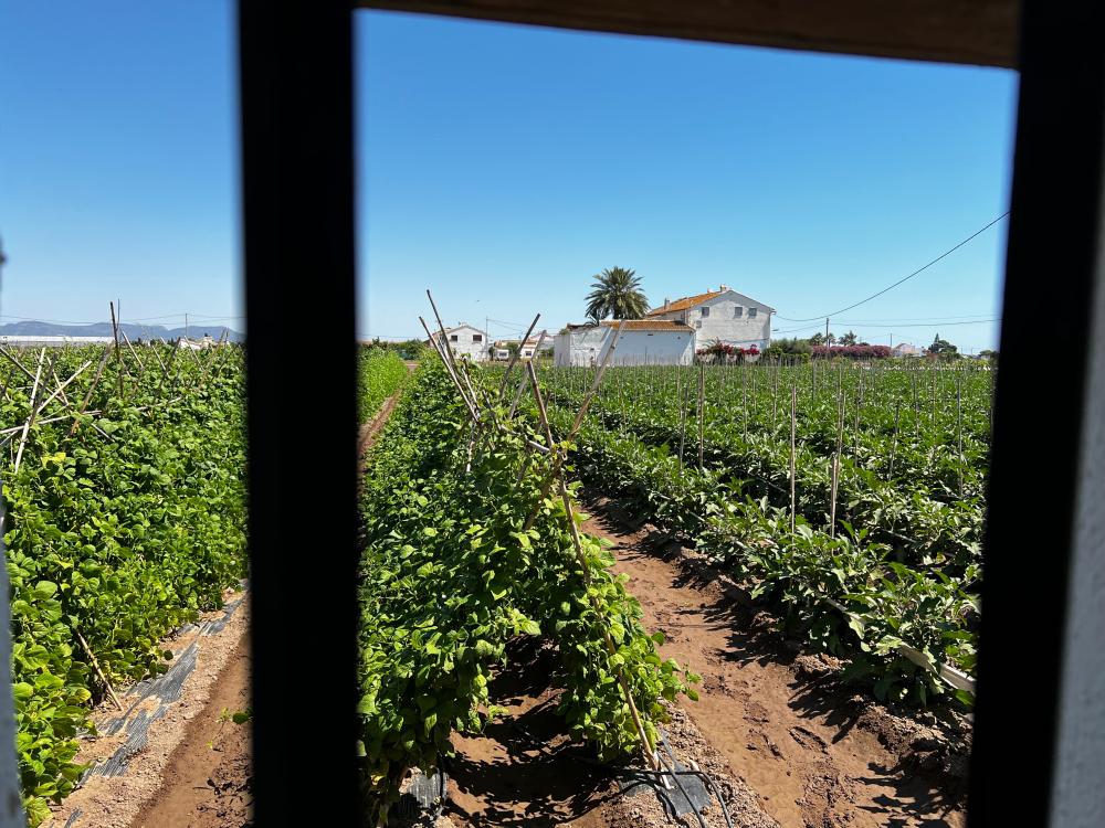  en venta finca rústica Barrio Roca Horta Nord 18