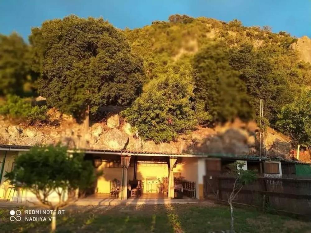  en venta finca rústica El Bosque Sierra De Cádiz 4