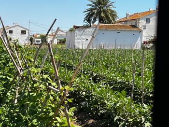 Barrio Roca Horta Nord finca rústica foto 6078454